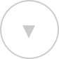Facet toggle arrow